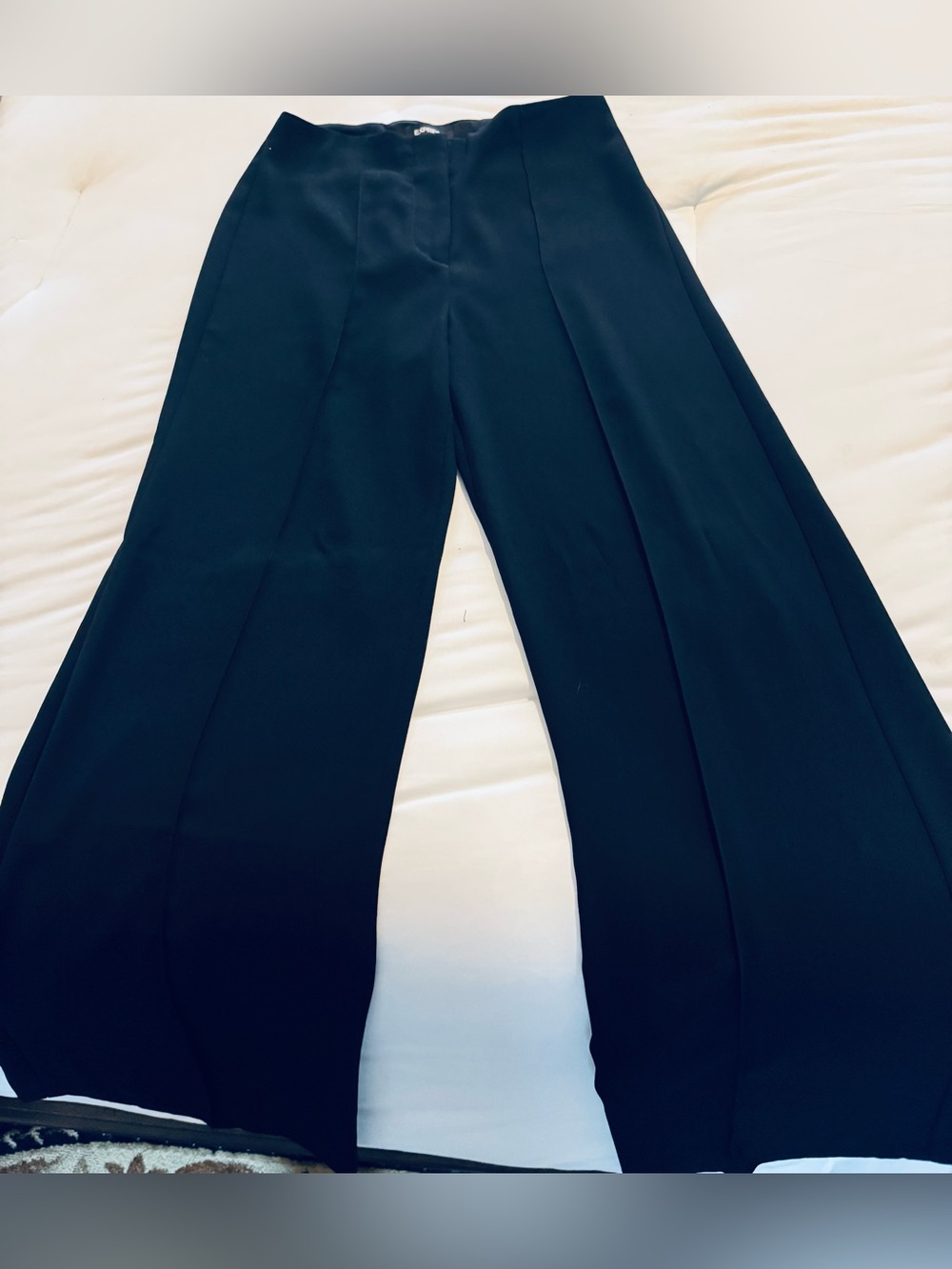 Express Wide-Leg Dress Pants in Black